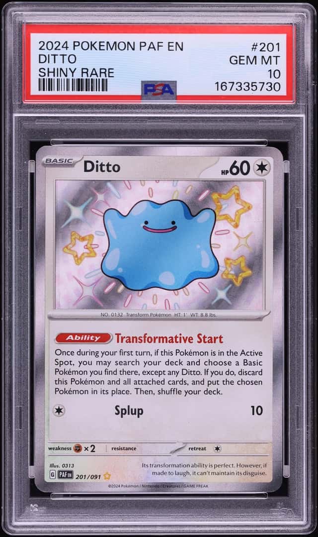 Ditto
