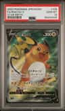 Raichu V