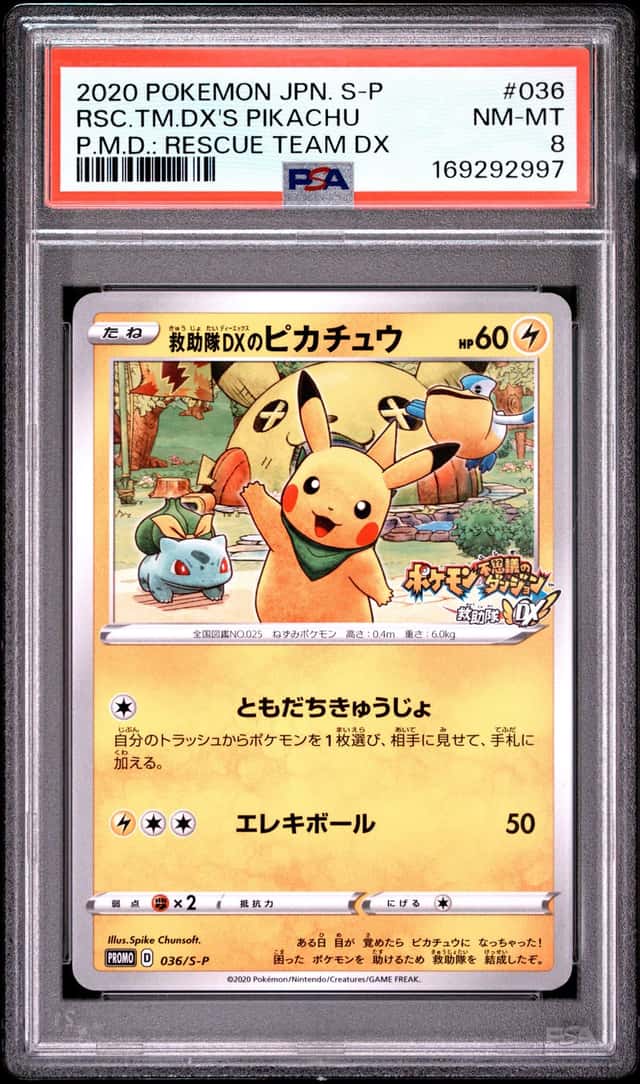 Rescue Team Dx's Pikachu