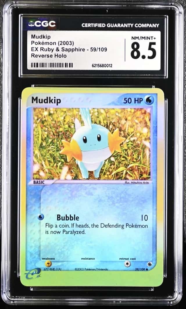 Mudkip