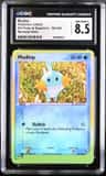 Mudkip