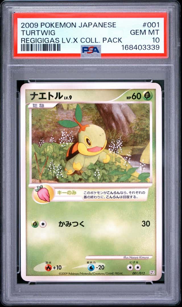 Turtwig