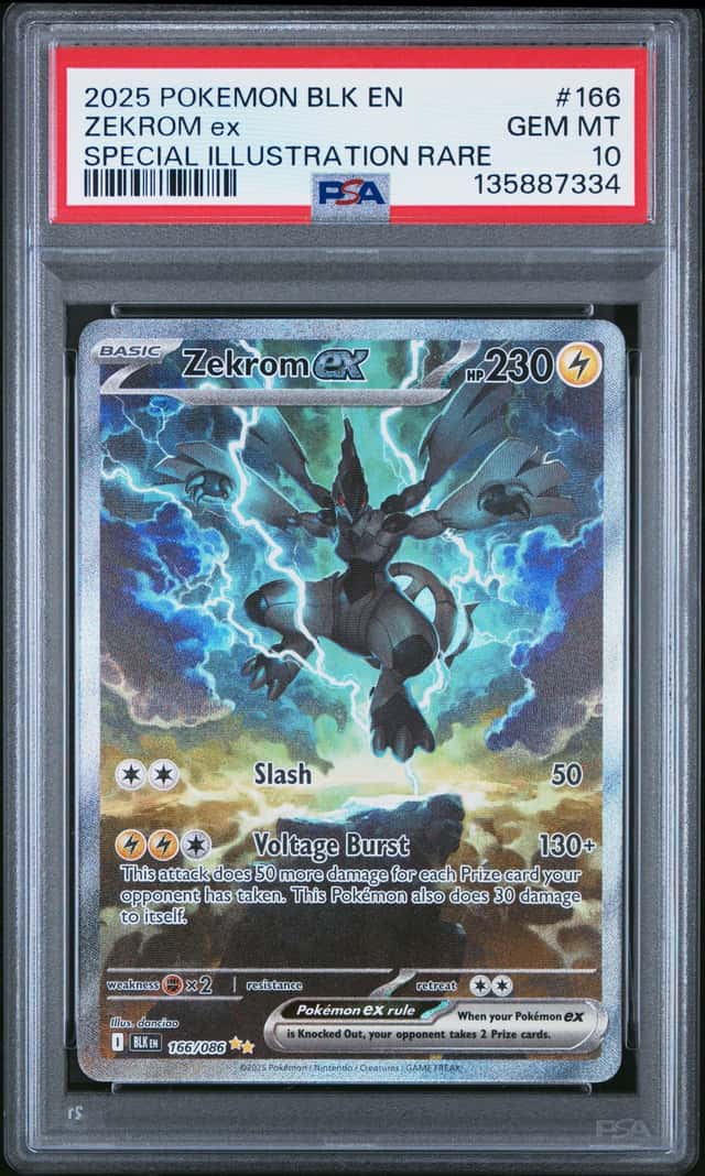 ZEKROM ex