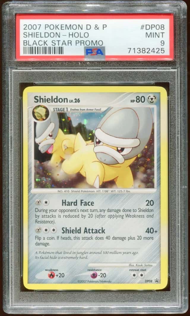 Shieldon