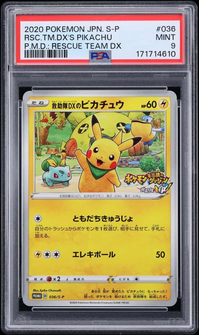 Rescue Team Dx's Pikachu