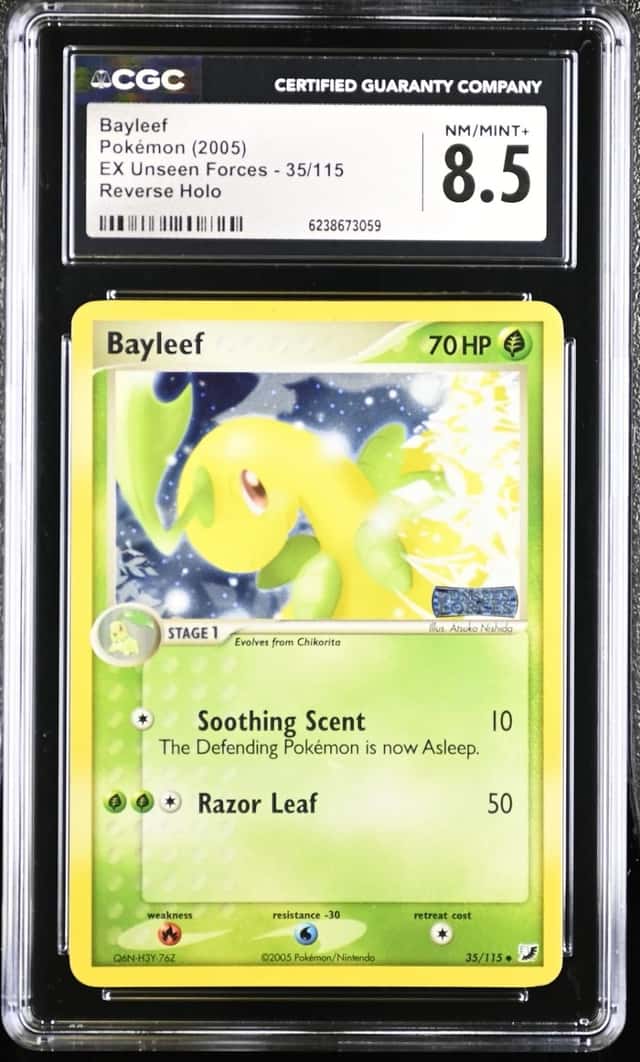 Bayleef