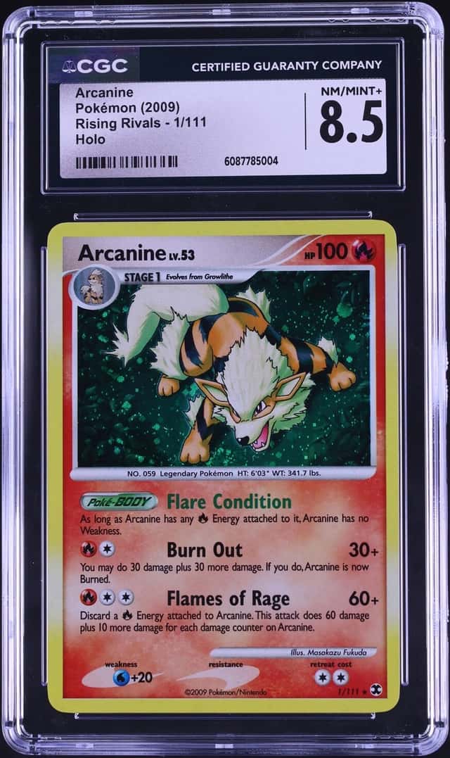 Arcanine