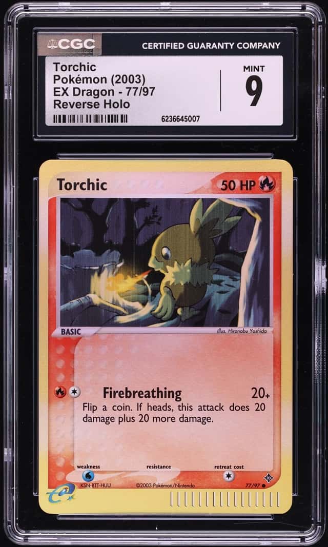 Torchic