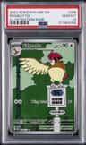 Pidgeotto