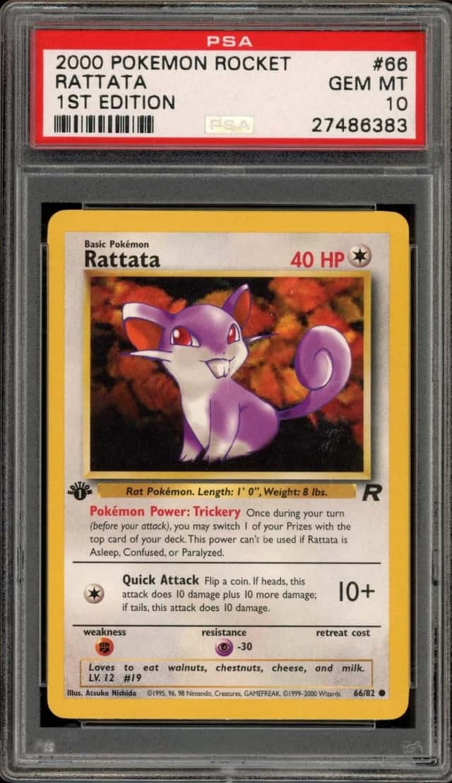 Rattata