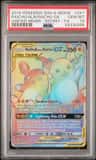 Raichu & Alolan Raichu Gx
