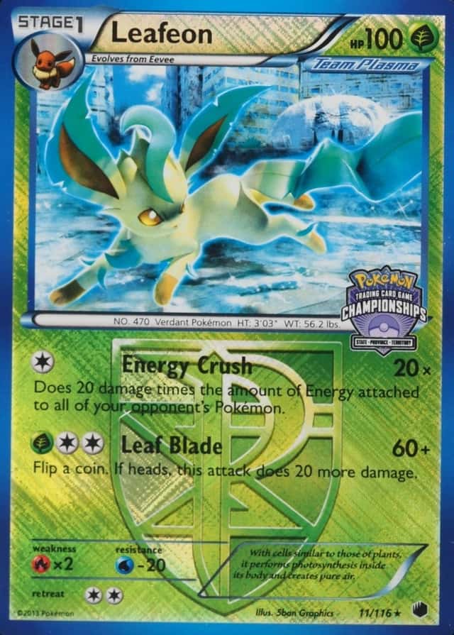 Holo · Championships P S T