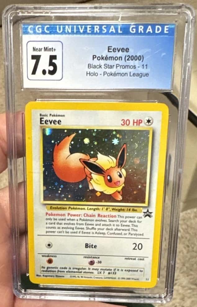 Eevee