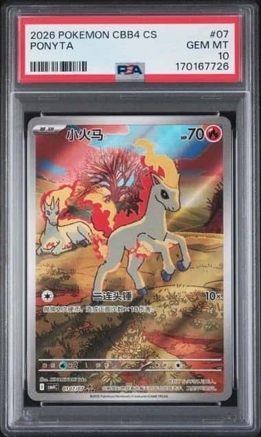 Ponyta