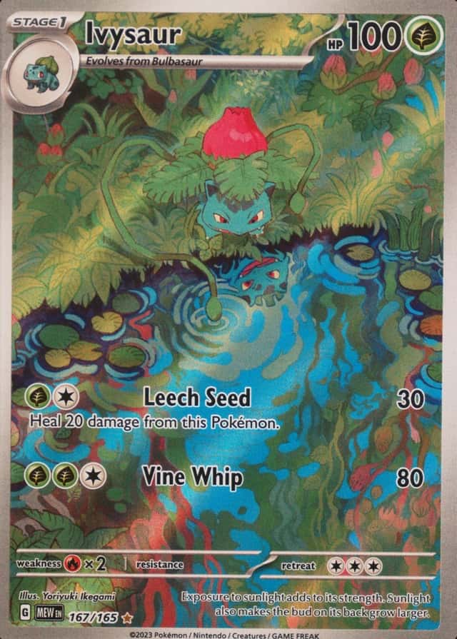Base / no variant