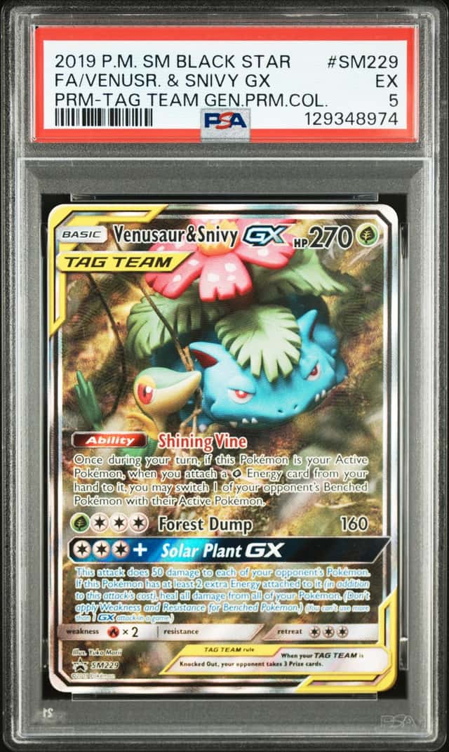 Venusaur & Snivy GX