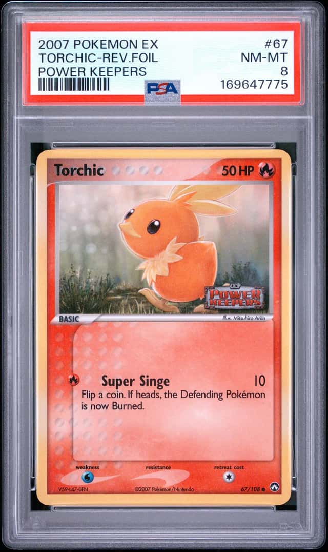 Torchic