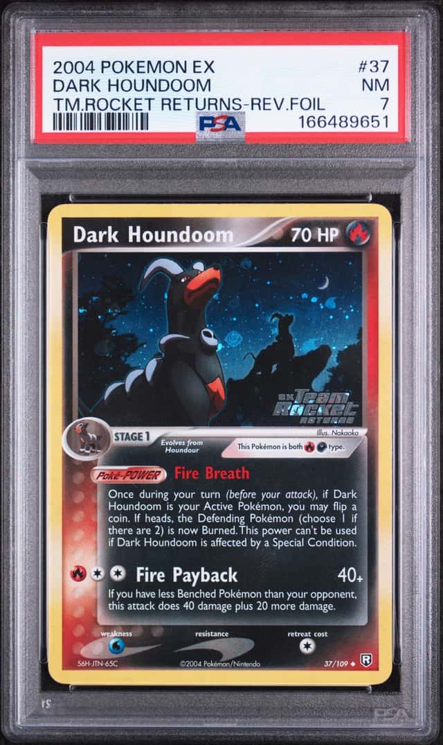 DARK HOUNDoom