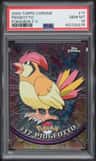 Pidgeotto