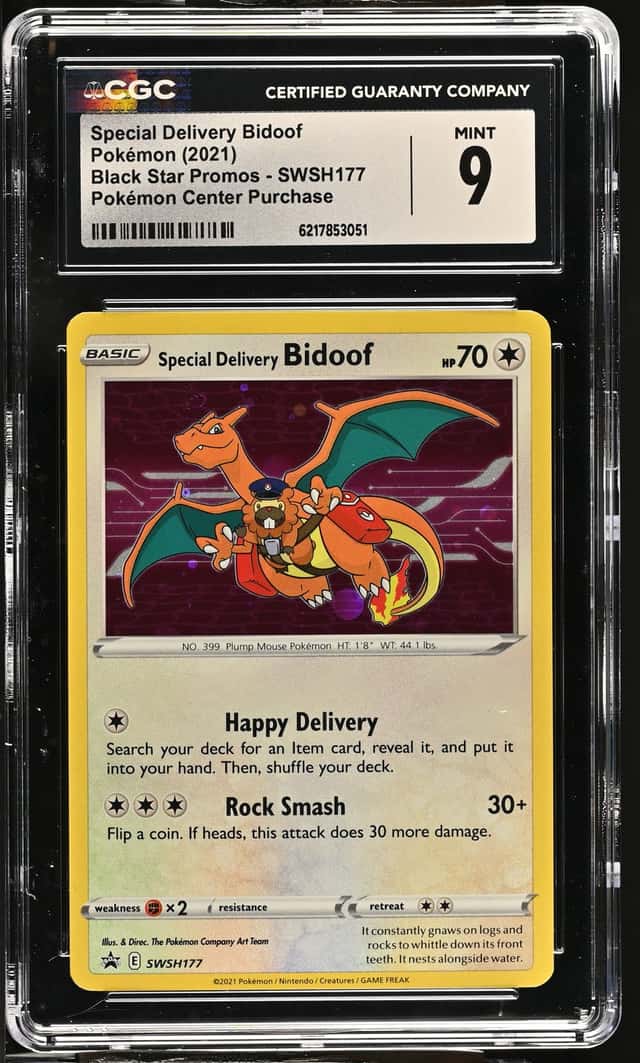 Special Delivery Bidoof