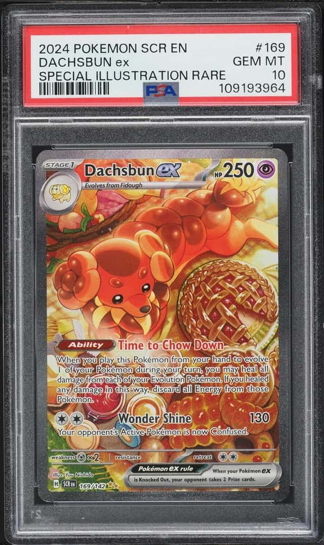 DACHSBUN ex