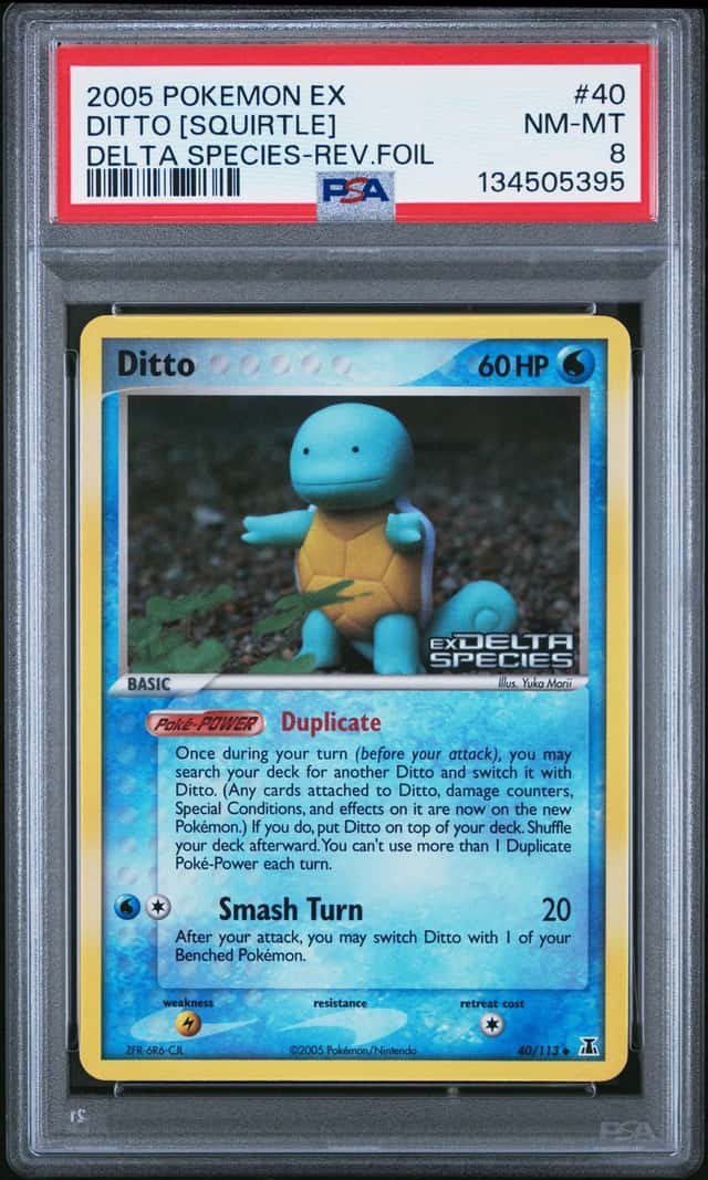 Ditto [Squirtle]