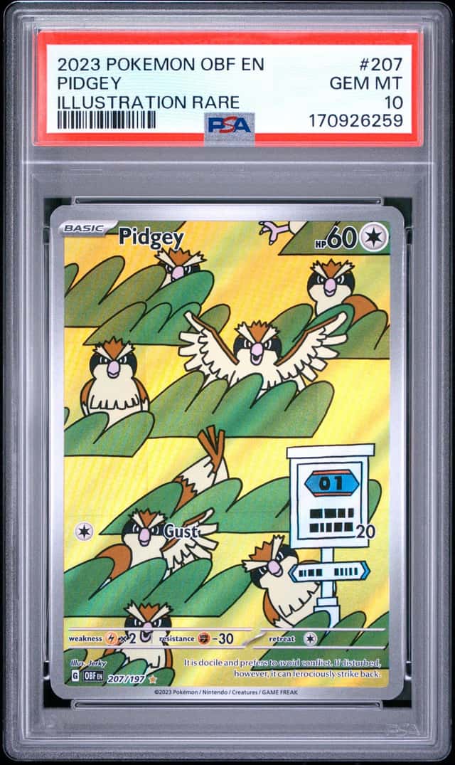 Pidgey