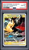 Pikachu & Zekrom Gx