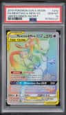 Mewtwo & Mew Gx