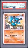 Riolu