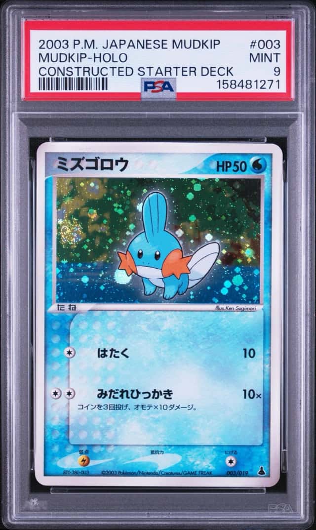 Mudkip