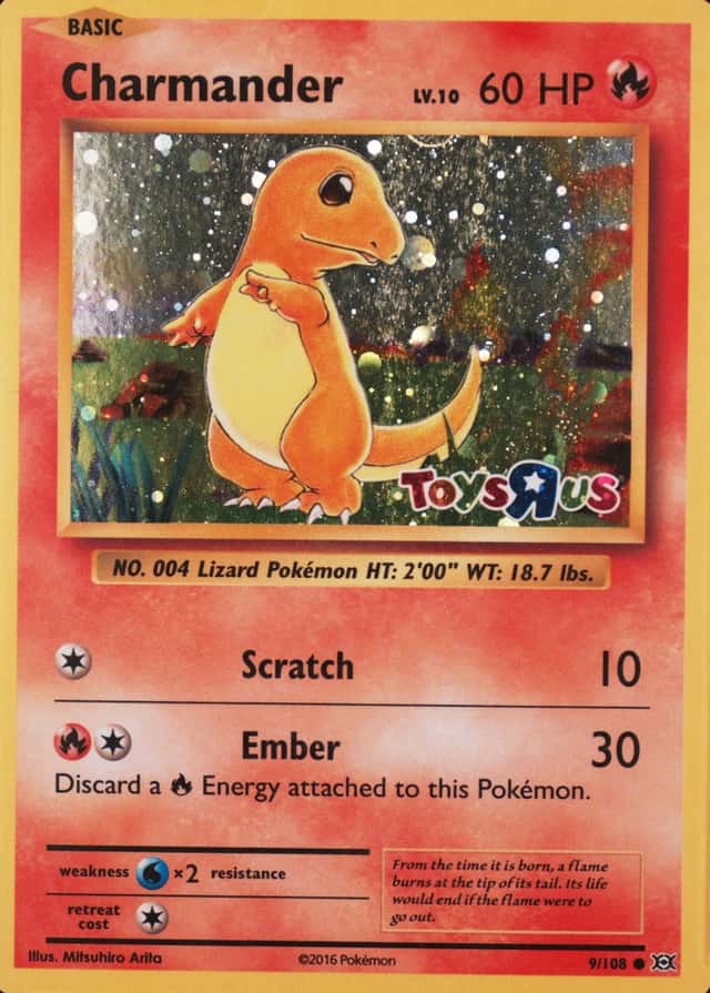 Holo
