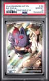 N'S Zorua