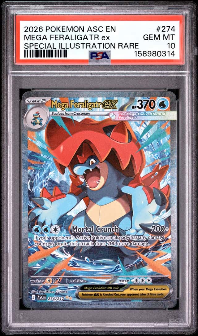 MEGA FERALIGATR ex