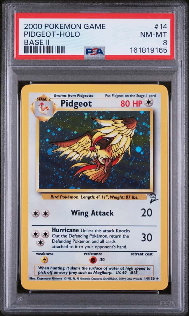 Pidgeot