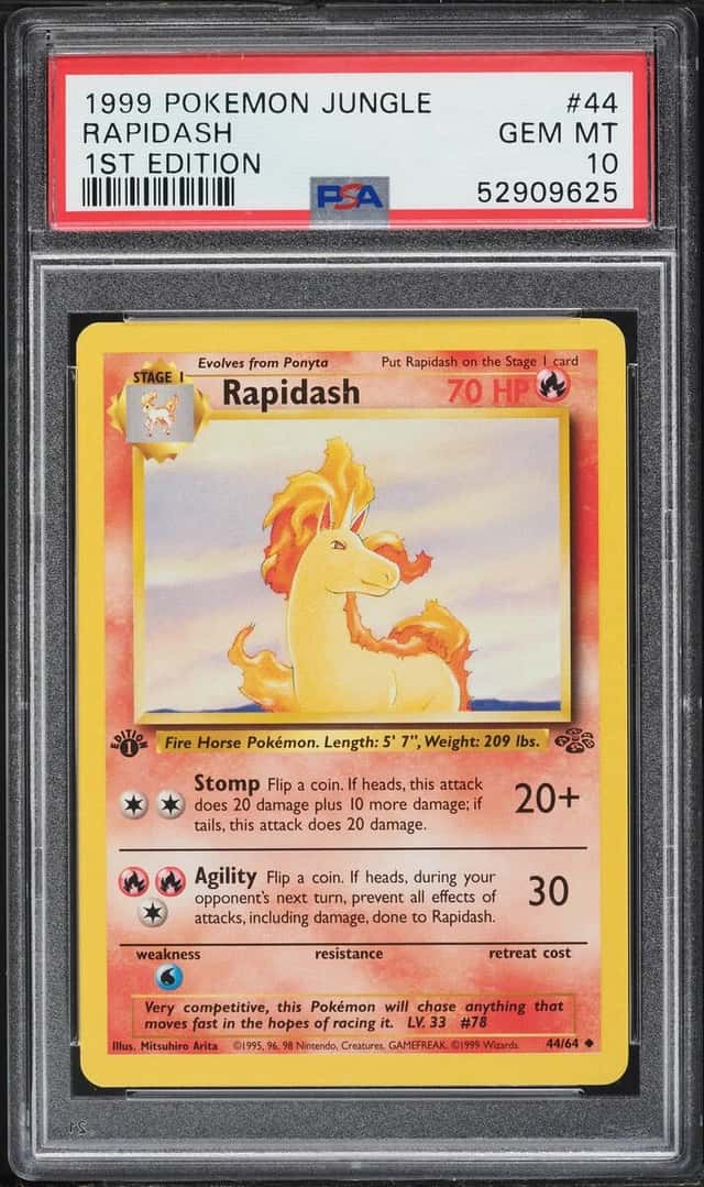 Rapidash