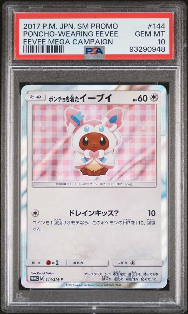Poncho-Wearing Eevee