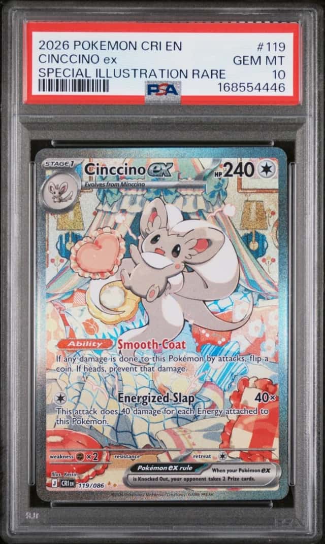 CINCCINO ex
