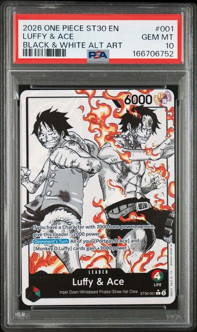 Luffy & Ace