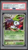 Shaymin Lv X