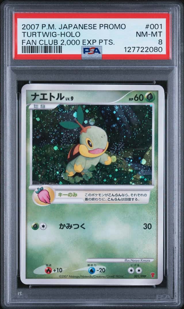 Turtwig
