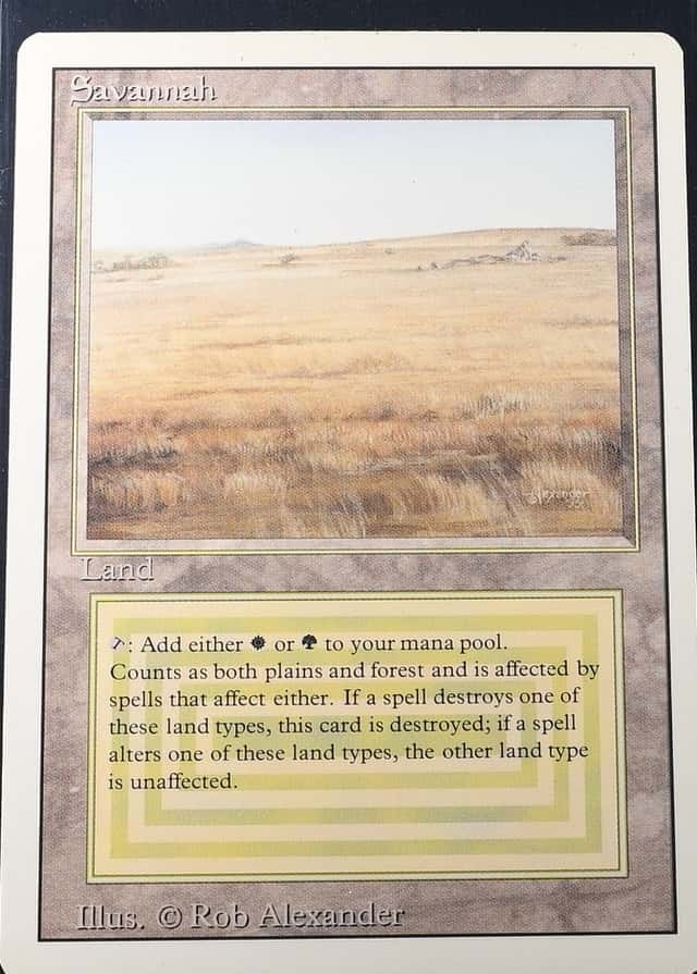 Base / no variant