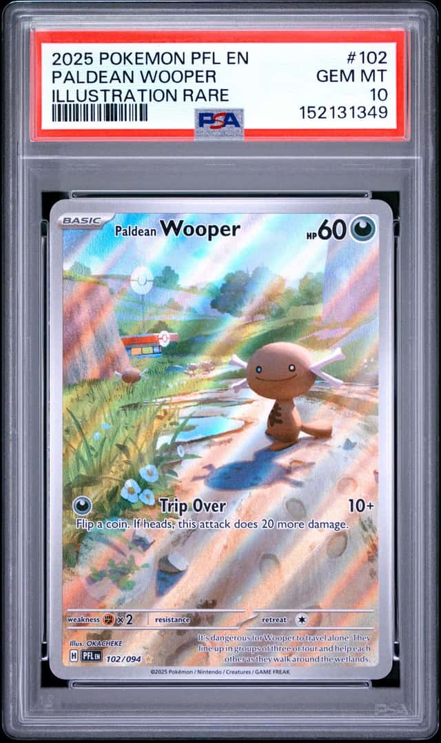 Paldean Wooper