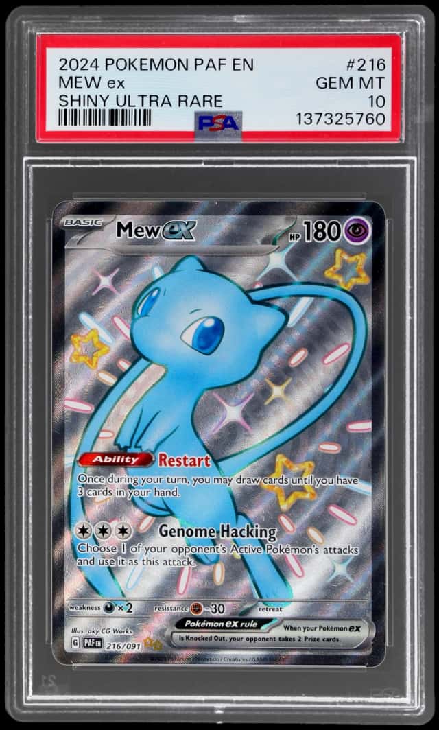 MEW ex
