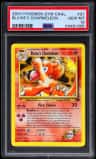Blaine'S Charmeleon