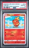 Torchic