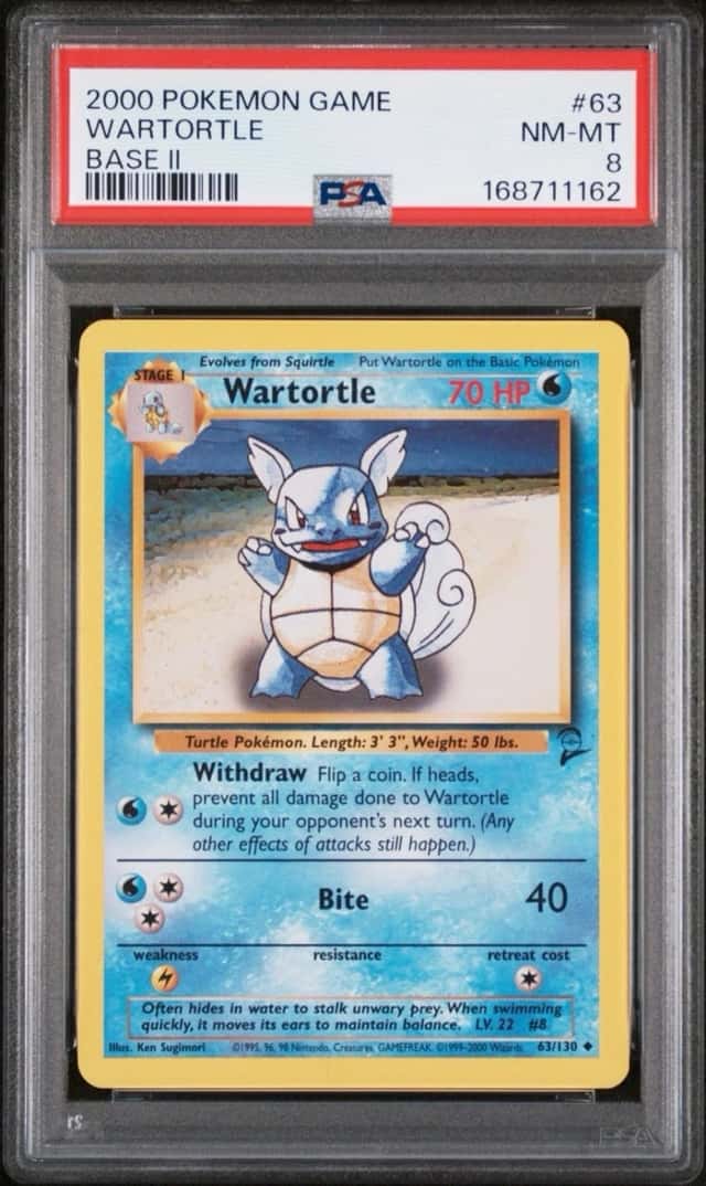 Wartortle
