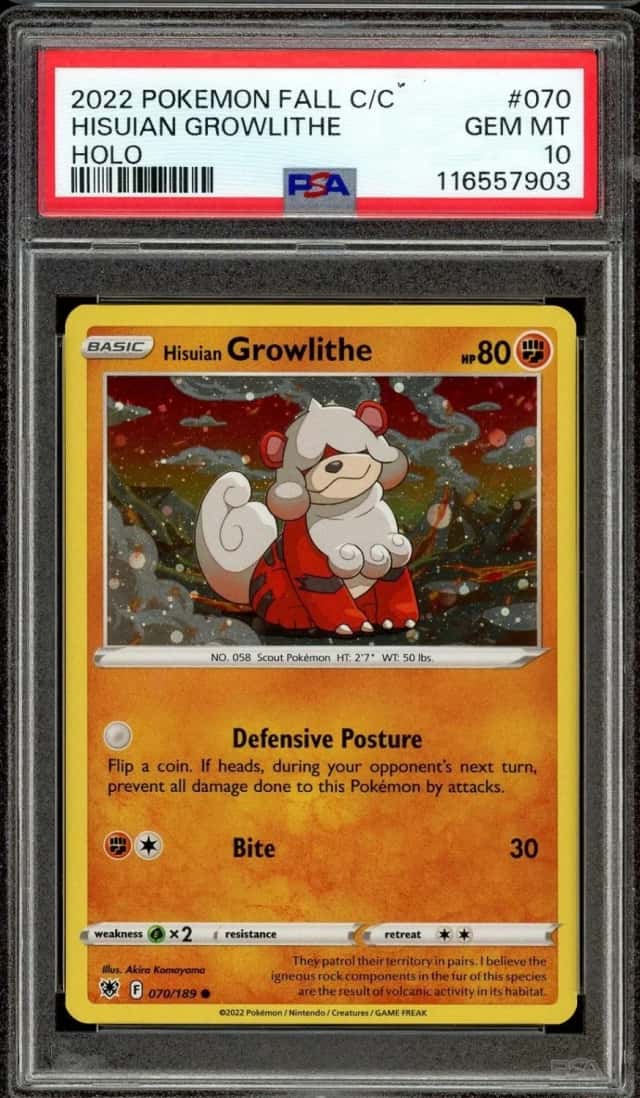 Hisuian Growlithe