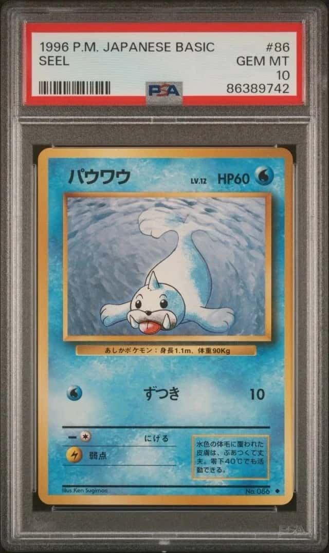 Seel