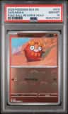 Darumaka